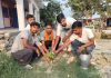 विश्व पर्यावरण दिवस के अवसर पर जगह-जगह पौधारोपण